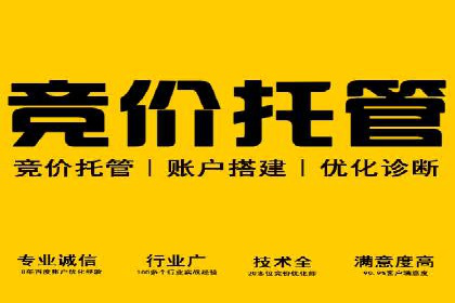 专业SEM托管，案例见证企业广告投放效果